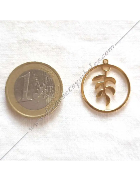 MSC340-pendentifs-medailles-maconniques-branches-acacia-or-cadeaux-colliers-fm-decors