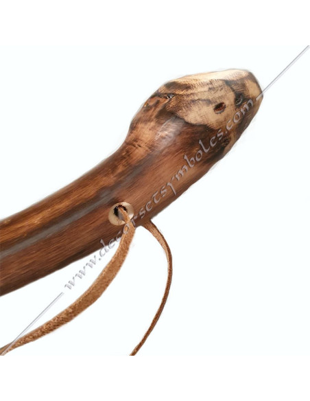 Companion Stick or Cane - Lodge Tool - OUT 056