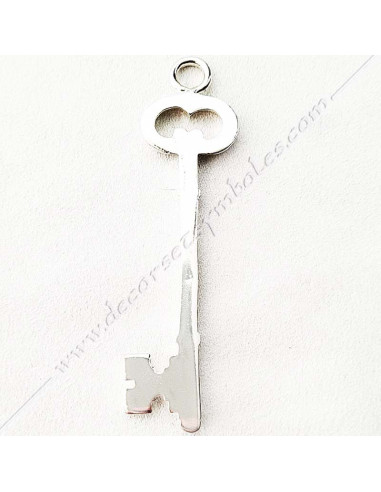 Dimensions : 8,5 x 2 cm avec anneau de sautoir