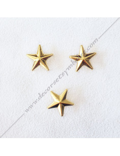 ACC037-stars-wings-pin-masonic-pin-epinglette-3d-collars-5th-orders-sashes-decorations-gcg-chapters-fm 2